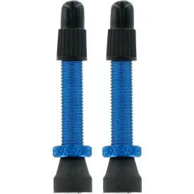 var-2-alloy-presta-valves