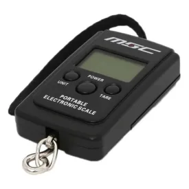msc-eina-bicycle-scale