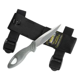 best-divers-shogun-mes