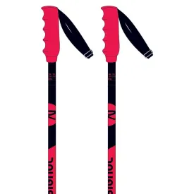 rossignol-hero-sl-poles