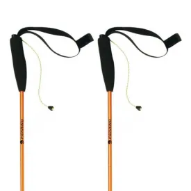 ferrino-batons-eiger