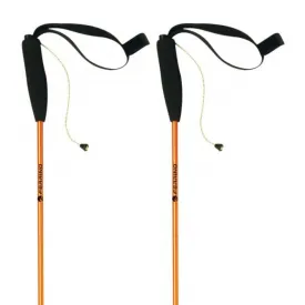 ferrino-bastons-eiger