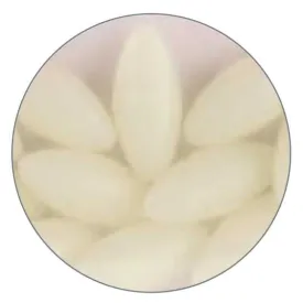 daiwa-needle-eggs-클립