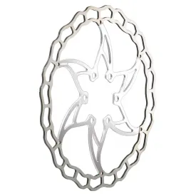 ashima-disco-de-freno-aro-09