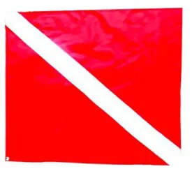 epsealon-boat-fox-flagge