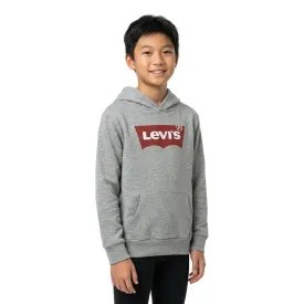 levis---batwing-screenprint-连帽卫衣