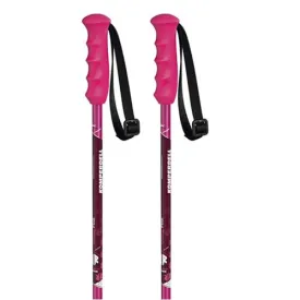 komperdell-really-poles