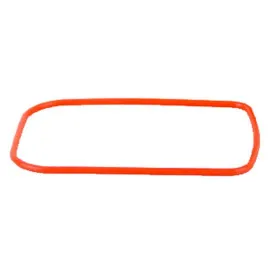 sealife-dc1400-o-o-ring