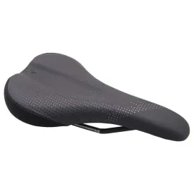 wtb-seient-koda-titanium