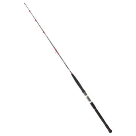 daiwa-saltist-spinning-rod