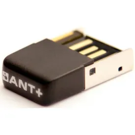 saris-ant--usb-stick