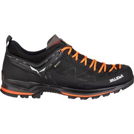 Various Sizes and Colors Salewa Men's Mtn Trainer L
