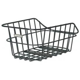 basil-cento-fixed-korg-20l