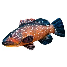 gaby-le-coussin-geant-merou-sombre