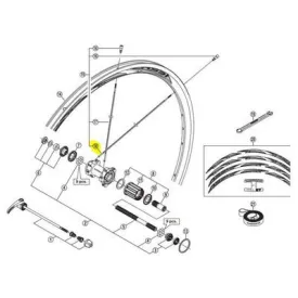 shimano-rayon-rs31-rear-left