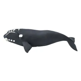 safari-ltd-right-whale-figuur