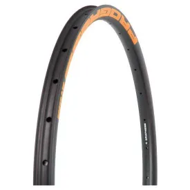 progress-jante-gp:01-graphene