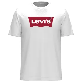 levis---plus-graphic-半袖tシャツ