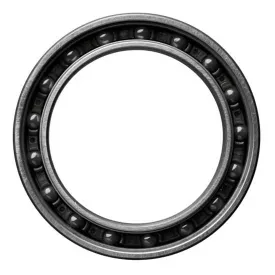 ceramicspeed-61806-single-lejer