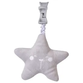 saro-wild-star-educational-toy