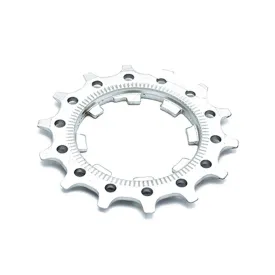 miche-11s-campagnolo-first-position-ritzel