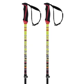 volkl-phantastick-fr-kije