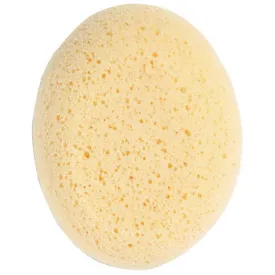 ingenuity-eponge-hydrophile