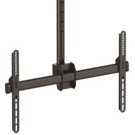 startech-ceiling-mount-vesa-for-tv