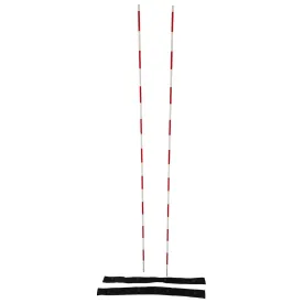 powershot-antena-de-voleibol-2-unitats