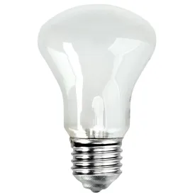 elinchrom-adjsustment-light-196v-e-27-100w