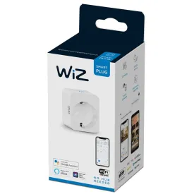 wiz-endoll-intel-ligent