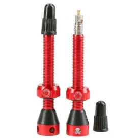 tubolight-tubeless-valves