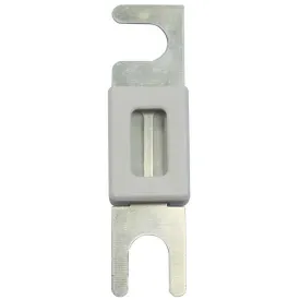 max-power-fuse-for-thruster