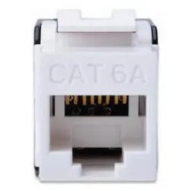 assmann-cat-keystone-6a