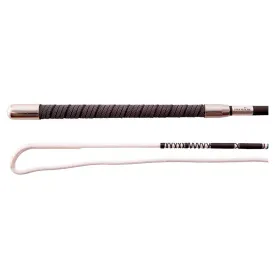 premiere-cravache-encke