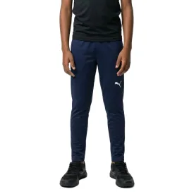 puma-teamrise-poly-trainingsbroek