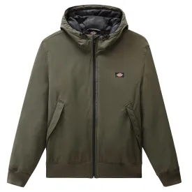 dickies-new-sarpy-jas