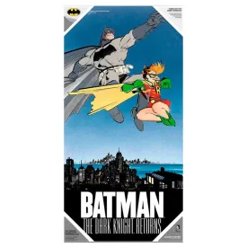 dc-comics-batman-robin-poster