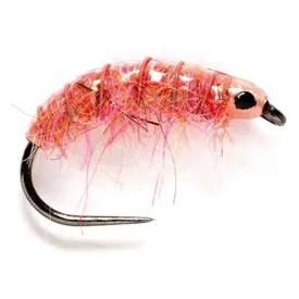 baetis-diry-飞