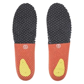 alpinestars-tech-10-鞋垫