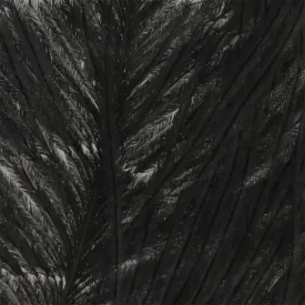 baetis-ostrich-feather