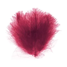 baetis-piuma-cdc-dyed