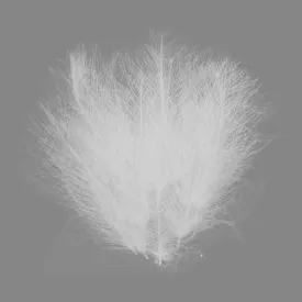 baetis-cdc-natural-feather
