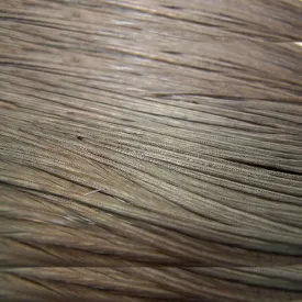 baetis-colgadera-羽