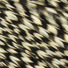 baetis-colgadera-feather