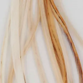 baetis-colgadera-feather