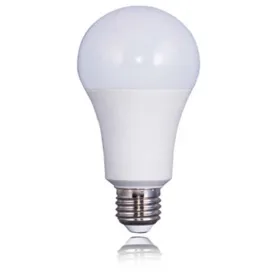 kodak-30416246-globe-led-bulb