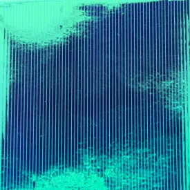 baetis-filme-mutation