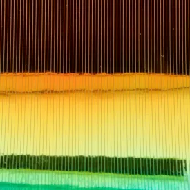 baetis-filme-mutation