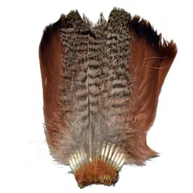 baetis-partridge-tail-pardilla-feather